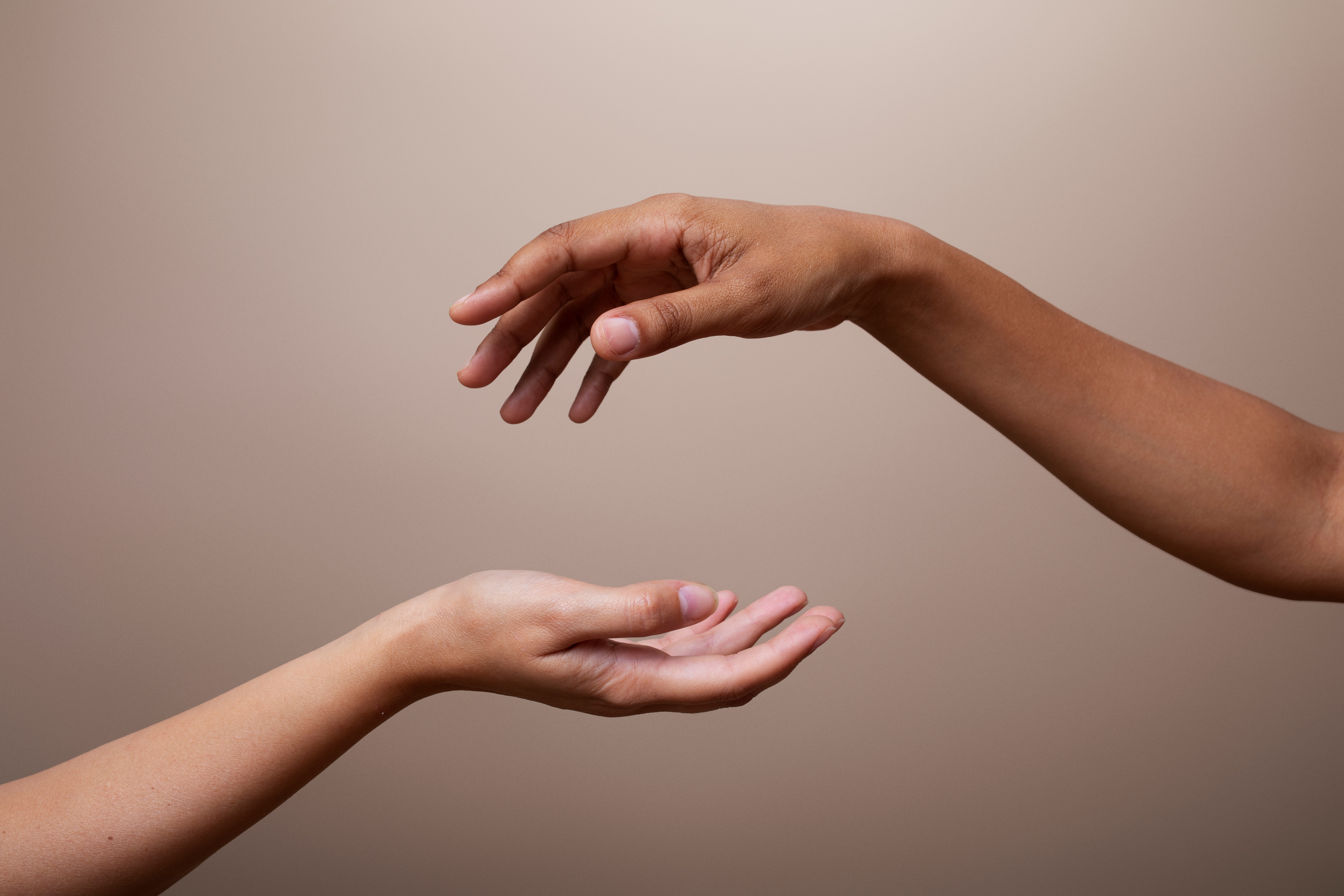 El Toque de Terciopelo